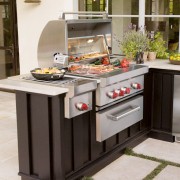 Wolf Gas Grill